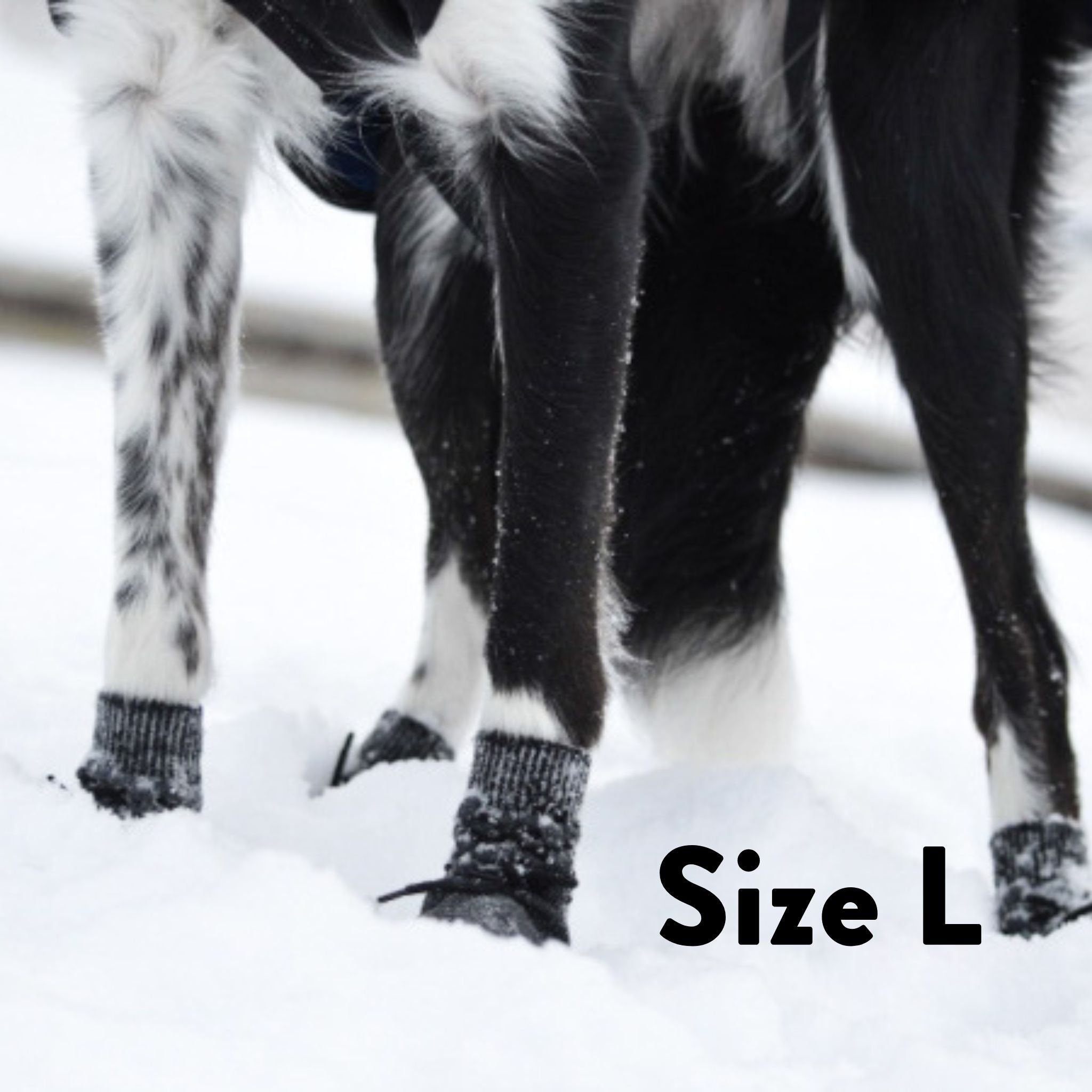 Hundstrumpor - 4 st