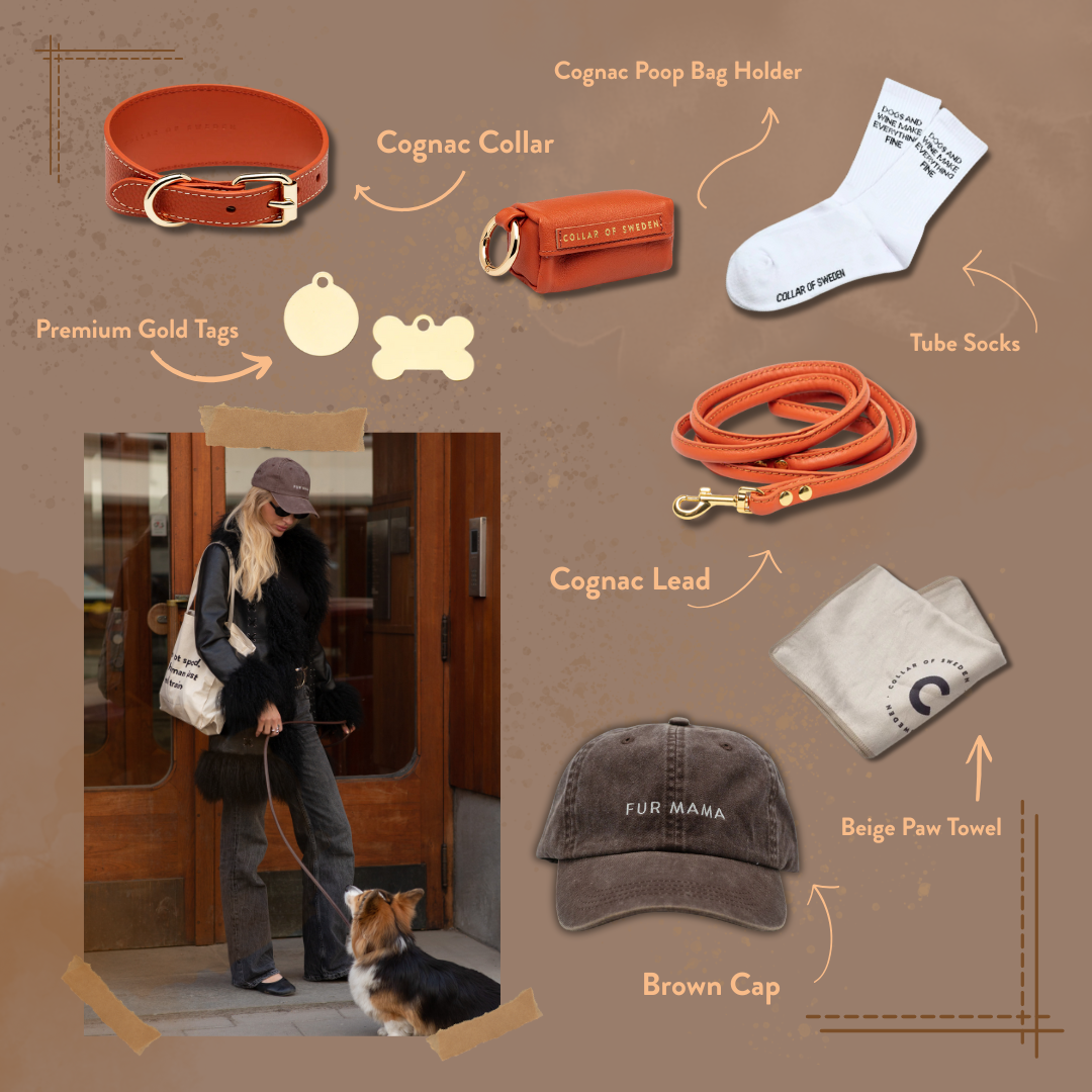 get-the-look-autumn-cognac.png