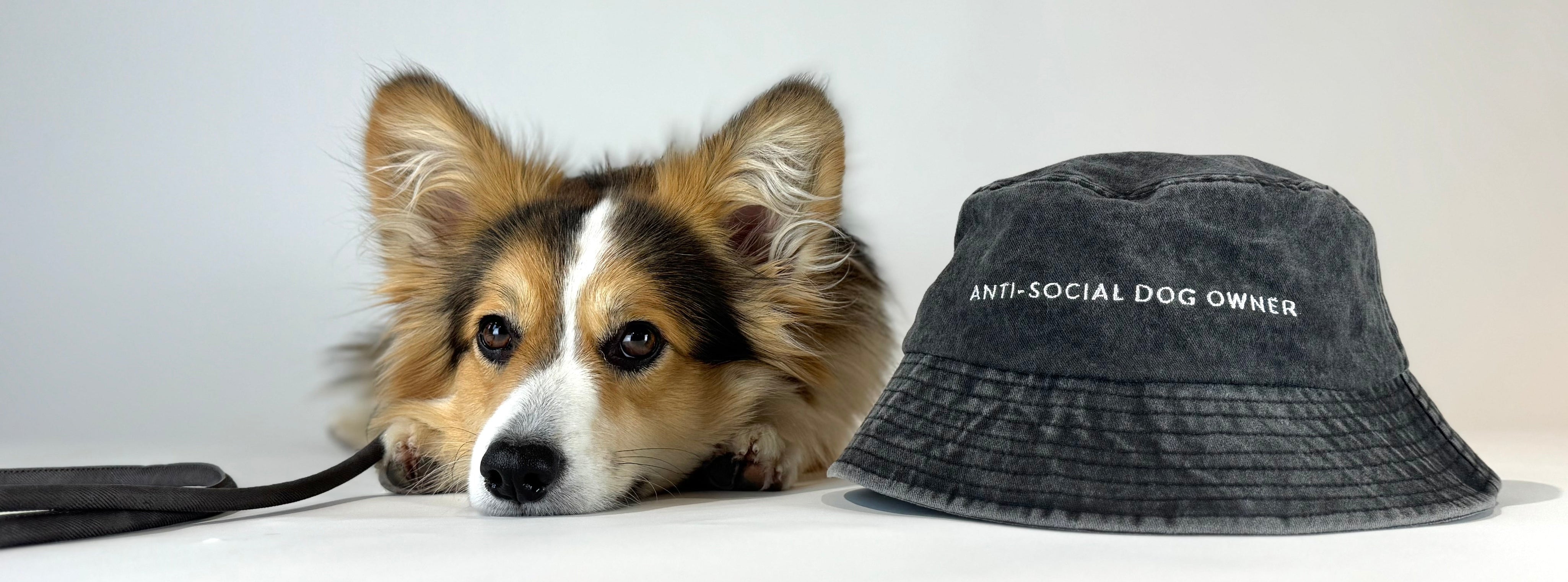 Caps and Beanies