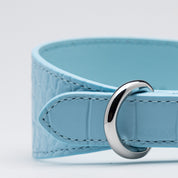 Babyblå Croco Hundhalsband Bred