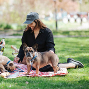 Svart Jeanskeps - Dogs Before Dudes