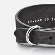 Hundhalsband i Svart Denim Bred