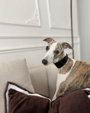 Svart Lack Hundhalsband Bred 