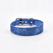 Blå Jeans Hundhalsband Smal