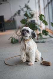 Reflex Brons Hundkoppel