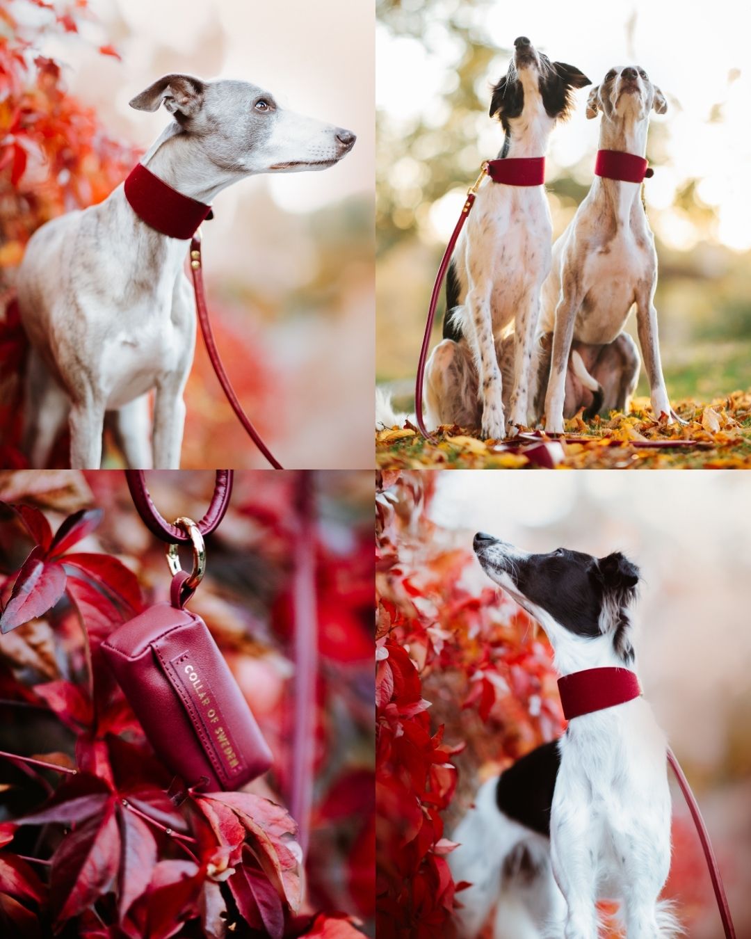 burgundy-wool-autumn-hero-mobile.jpg