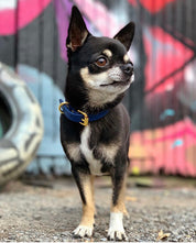 Mörkblå Hundhalsband Smal