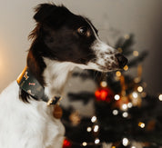 Jul Hundhalsband Bred