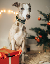 Jul Hundhalsband Bred