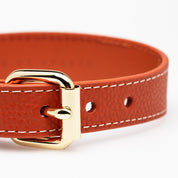 Cognac Hundhalsband Smal