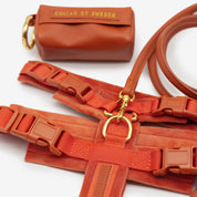 Cognac Y-Sele XS