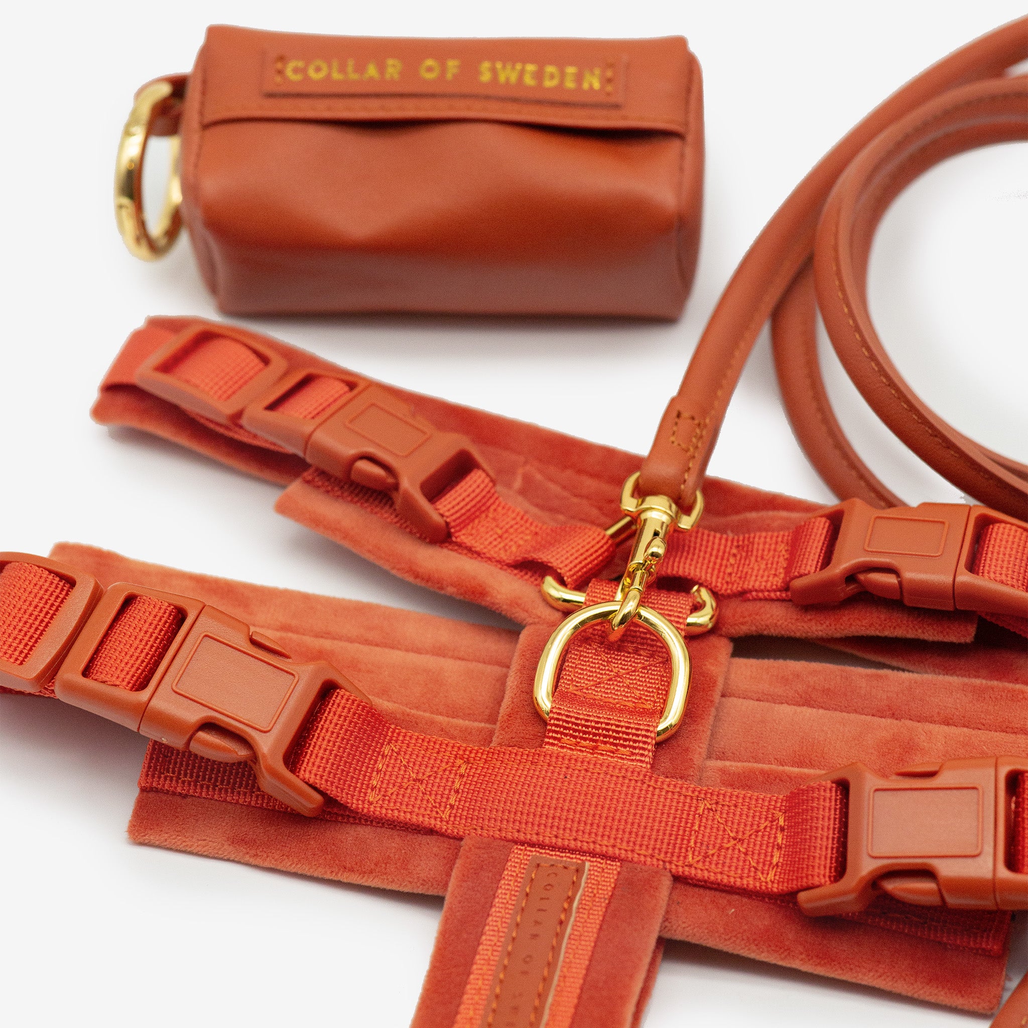 Cognac Y-Sele XS
