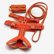 Cognac Y-Sele XS