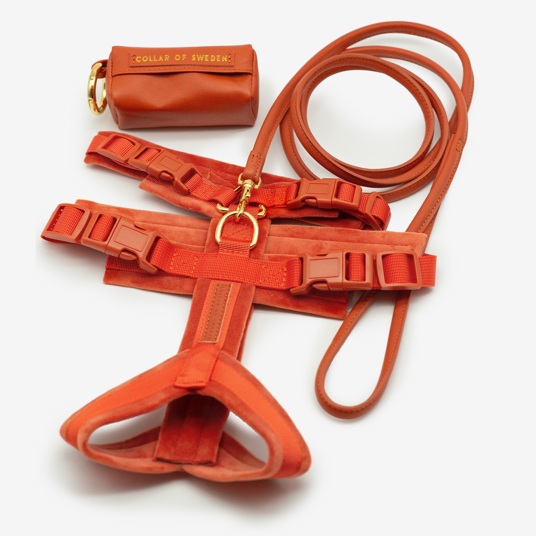 Cognac Y-Sele XS