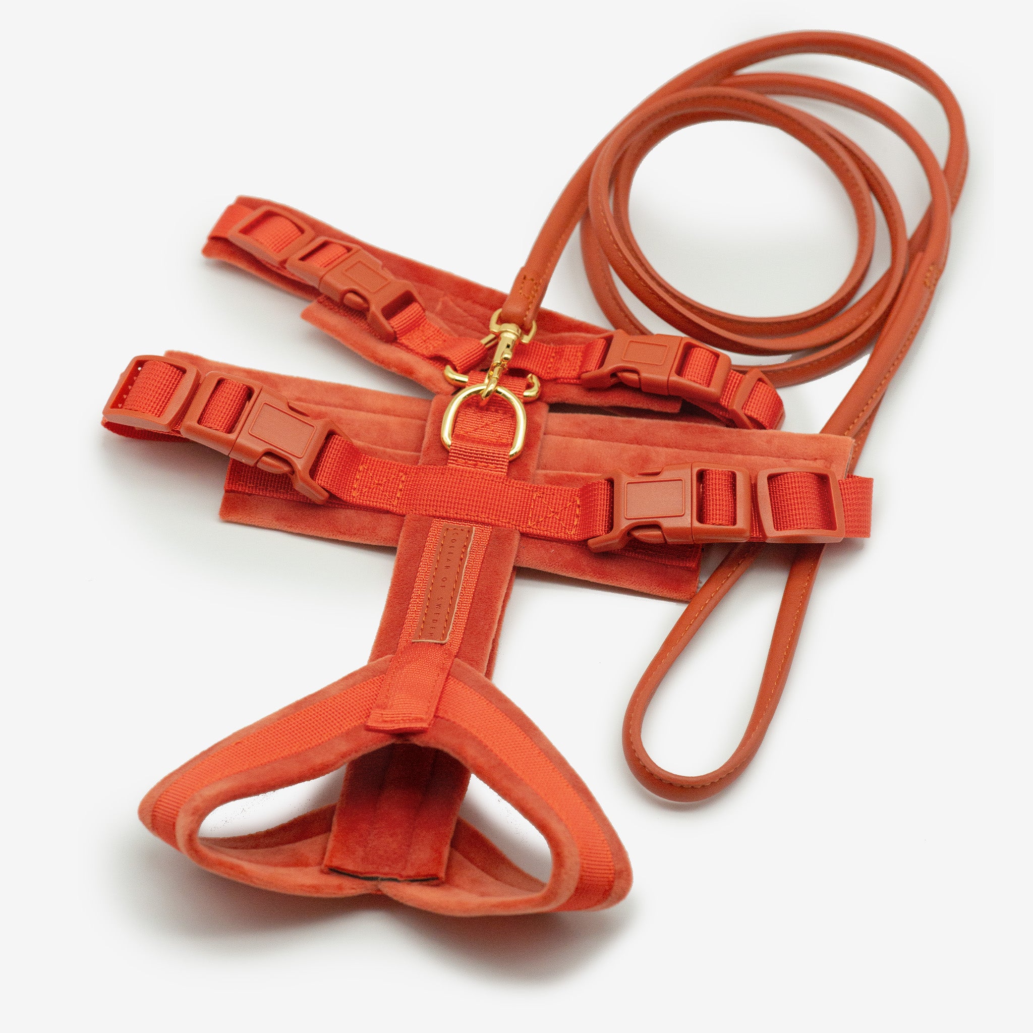 Cognac Y-Sele XS