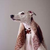 Komönstrat Hundhalsband Bred