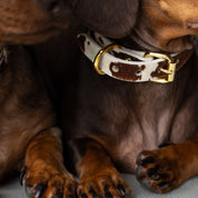 Komönstrat Hundhalsband Smal