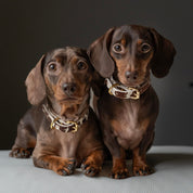 Komönstrat Hundhalsband Smal