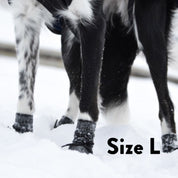 Hundstrumpor - 4 st