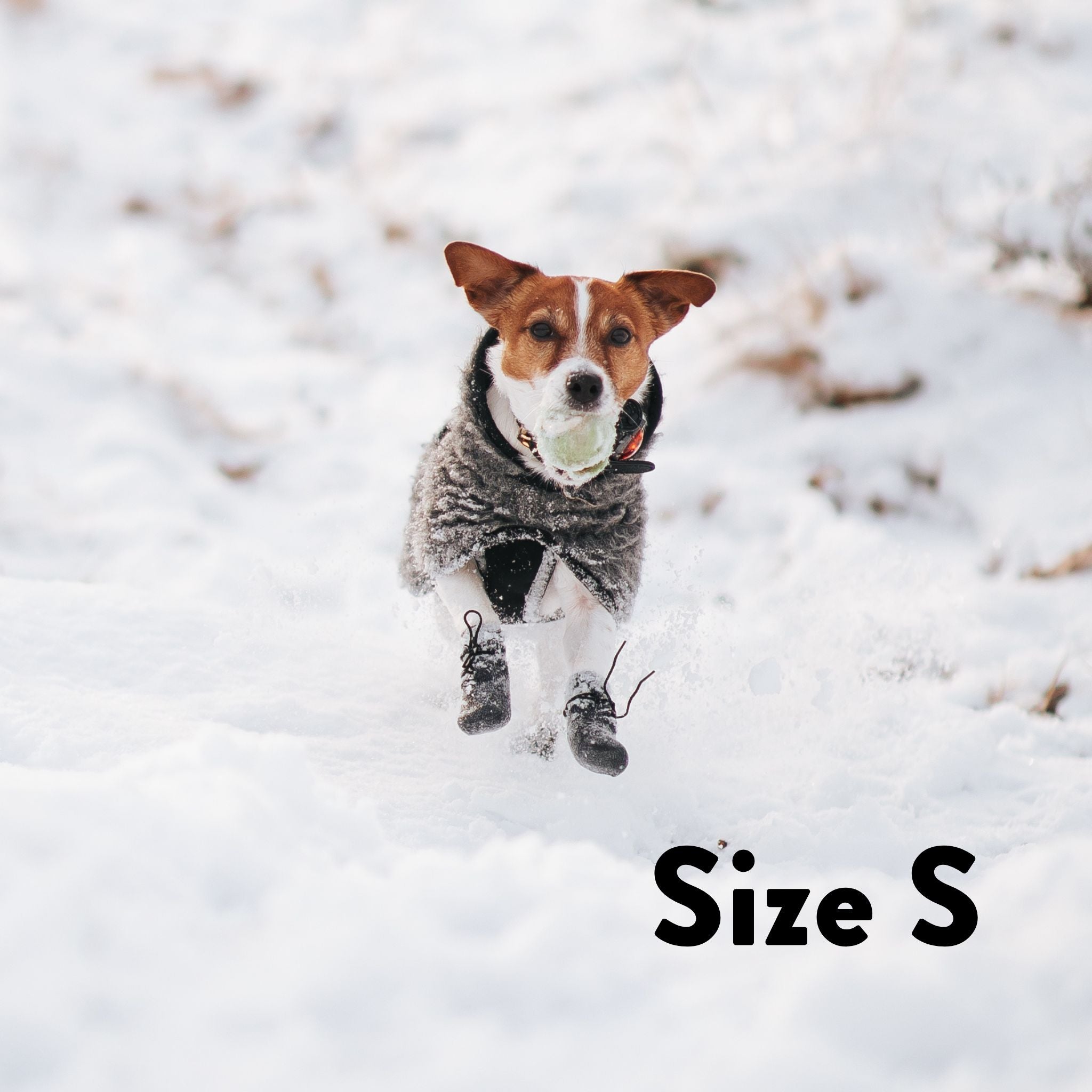 Hundstrumpor - 4 st