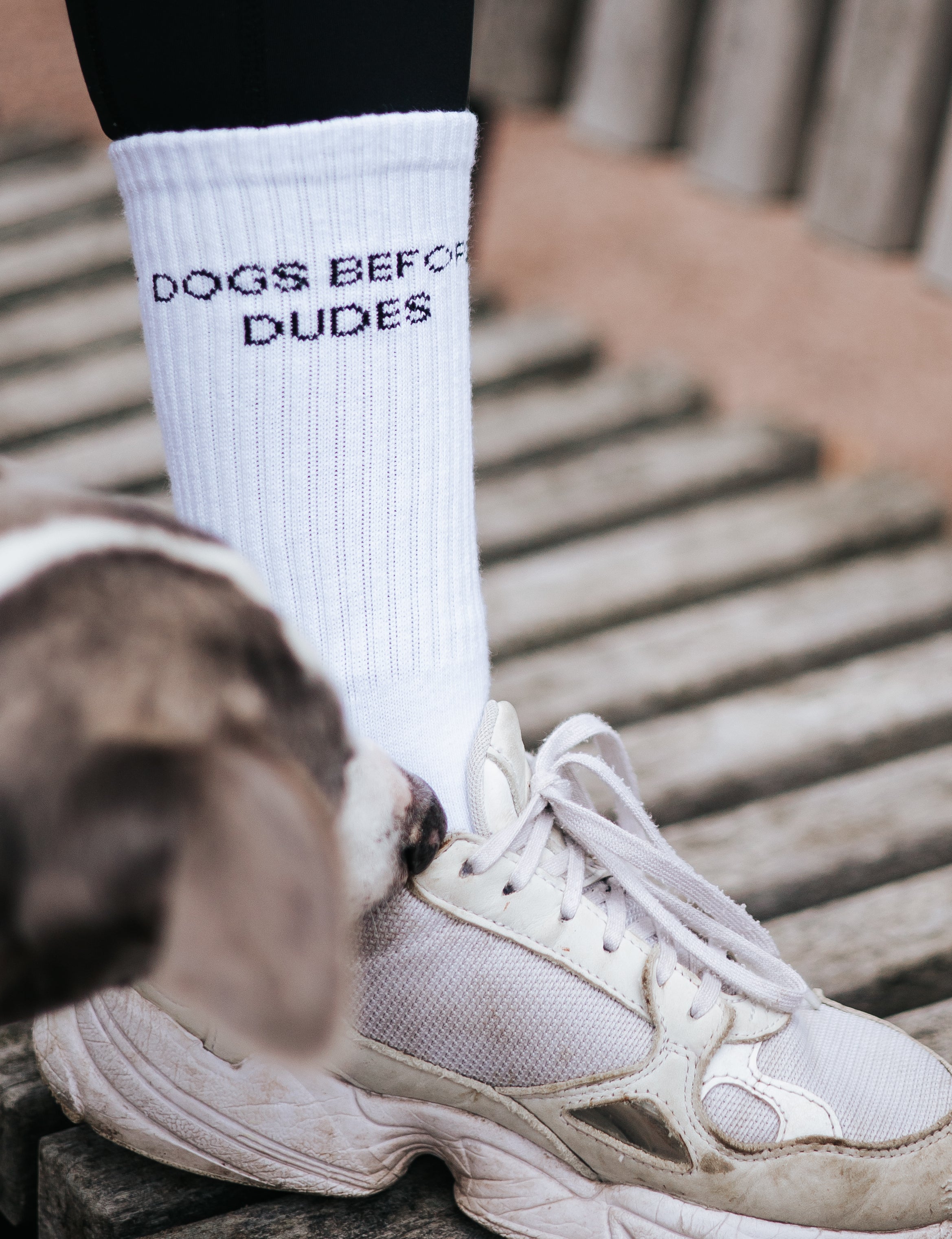 Vita tubsockor - Dogs Before Dudes