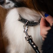 Glossy Black Dog Collar Thin