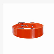 Orange Lack Hundhalsband Smal