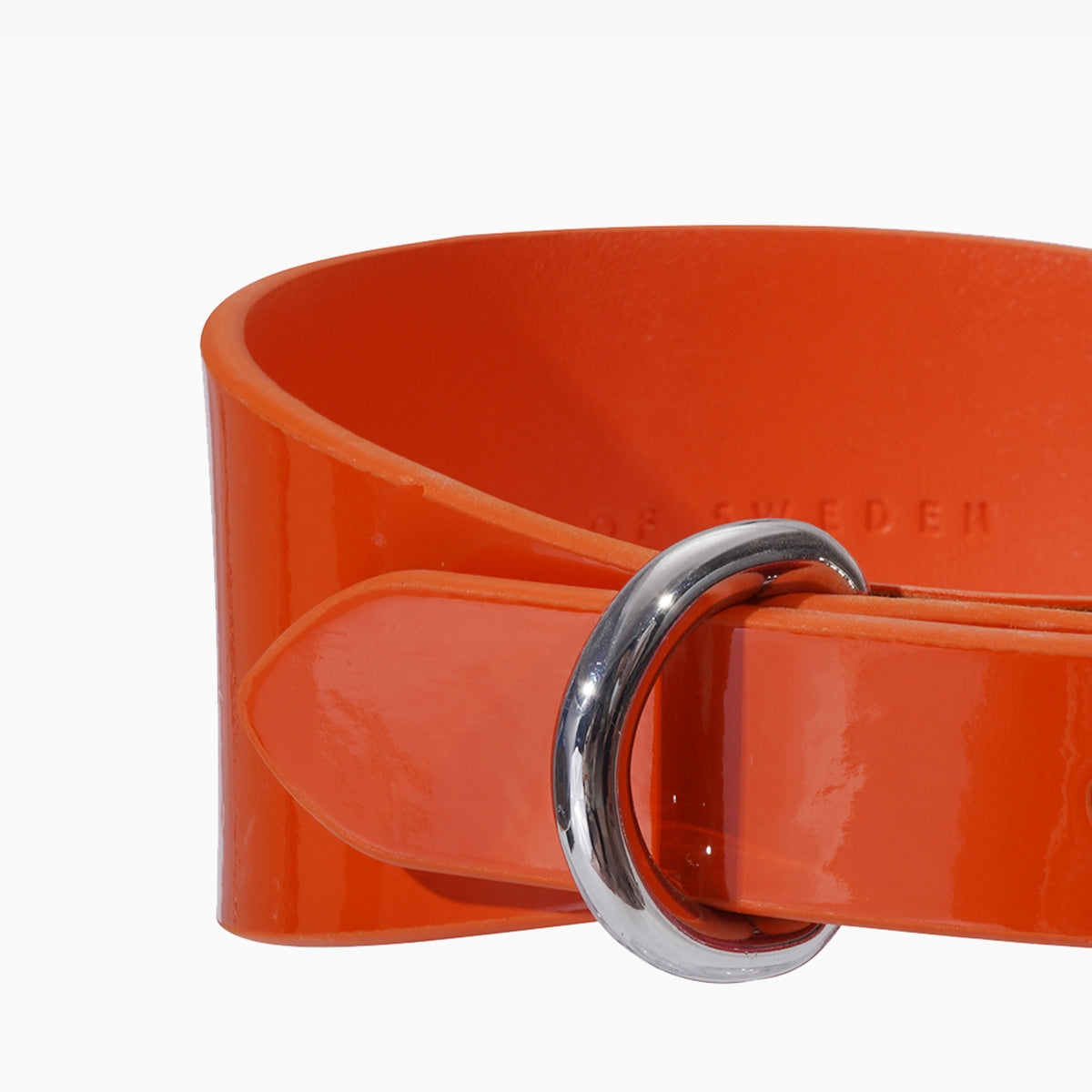 Orange Lack Hundhalsband Bred