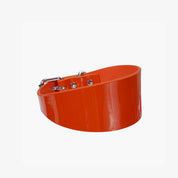 Orange Lack Hundhalsband Bred