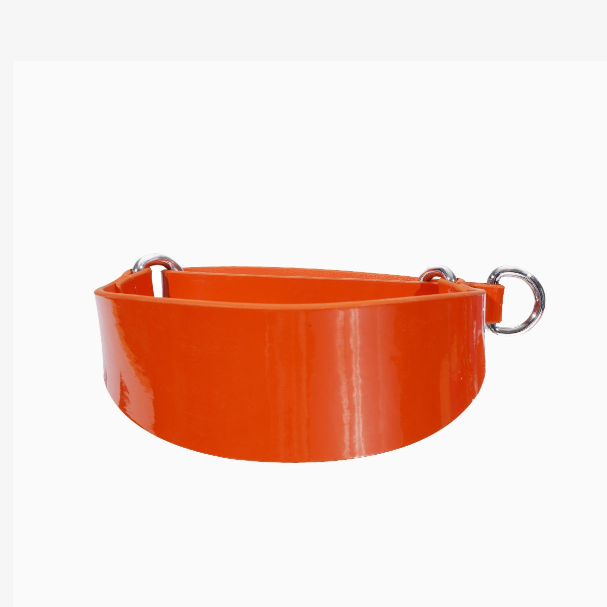 glossy-orange-martingale-collar-medium-wide.jpg