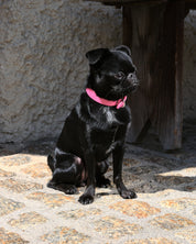 Rosa Lack Hundhalsband Smal
