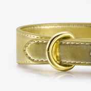 Guld Metallic Hundhalsband Smal