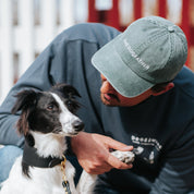 Grön Jeanskeps - The Dogfather