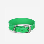 Klargrön Croco Hundhalsband Smal