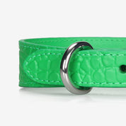 Klargrön Croco Hundhalsband Smal