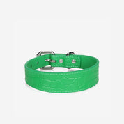 Klargrön Croco Hundhalsband Smal