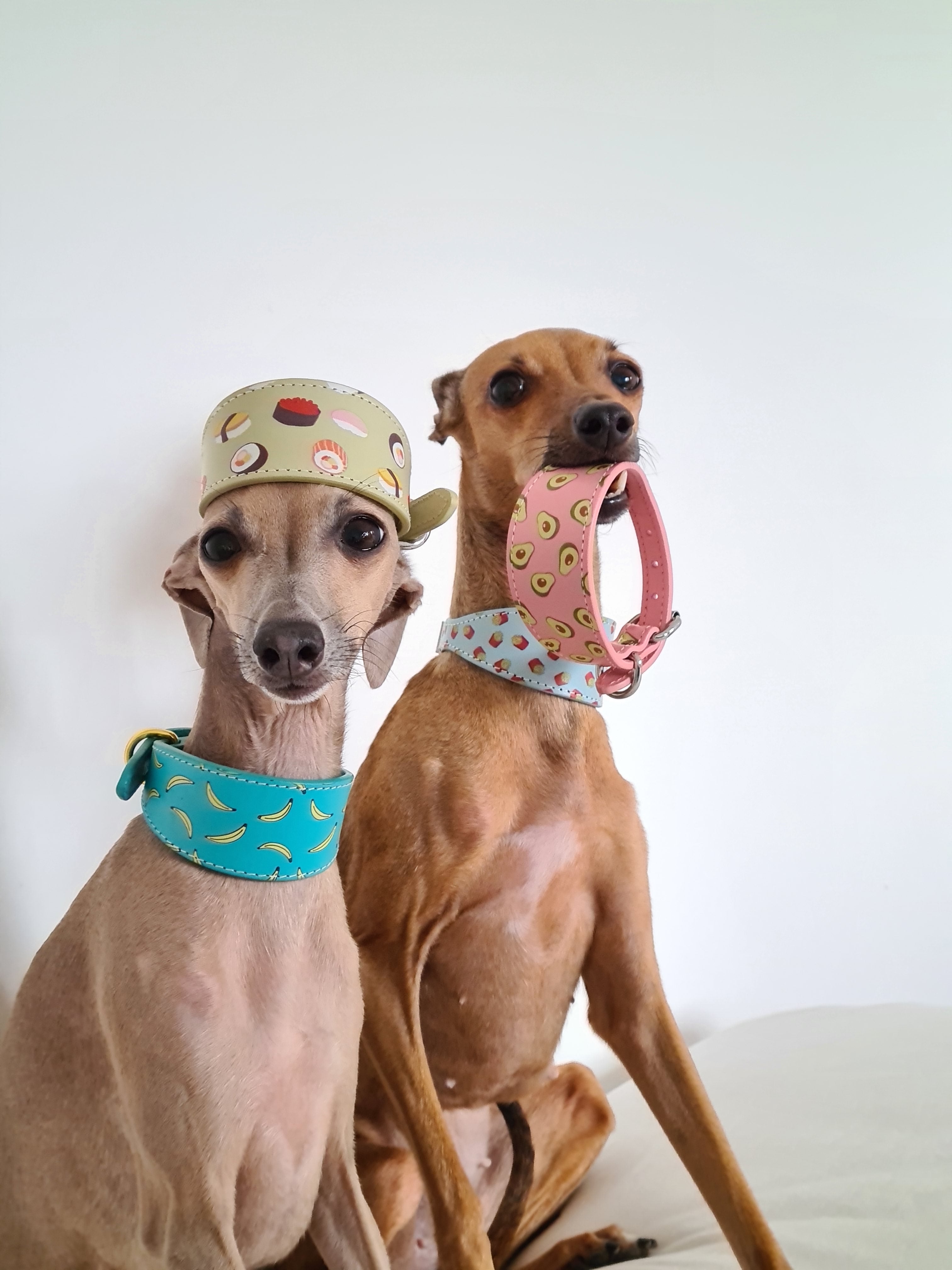 Bananmönstrat Hundhalsband Bred