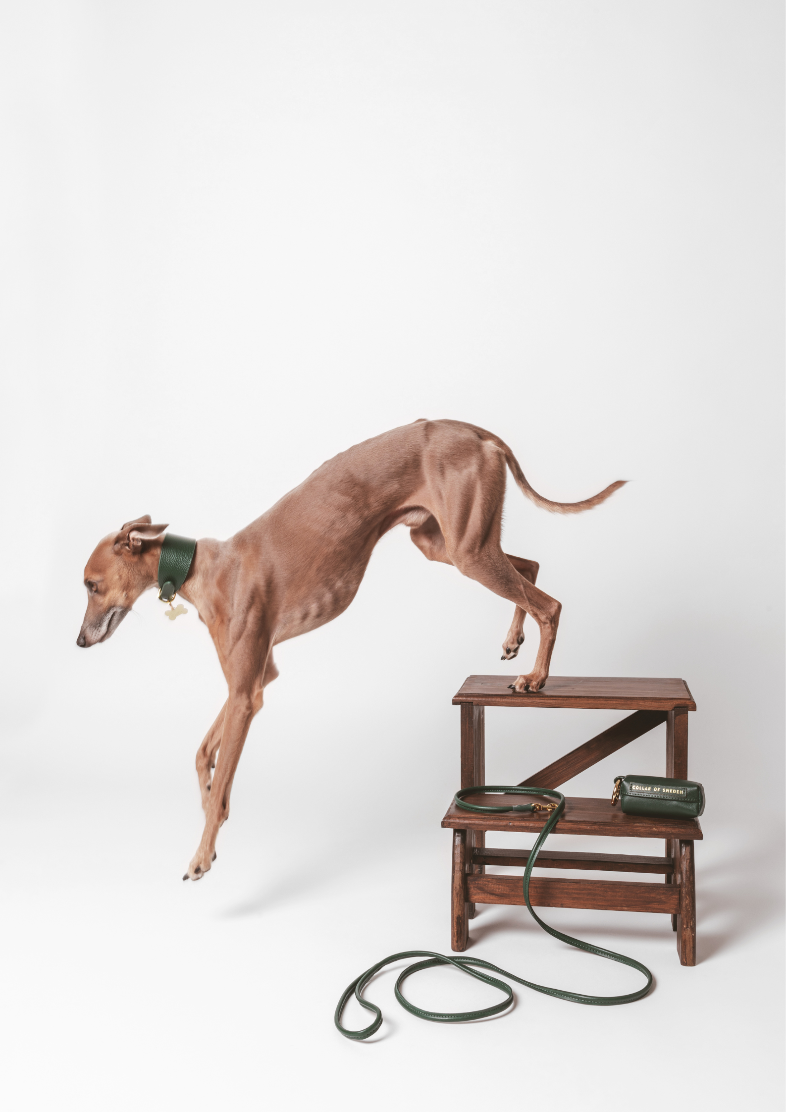Mörkgrön Hundkoppel