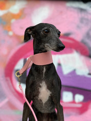 Rosa Hundhalsband Halvstryp Bred