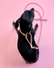 Rosa Hundhalsband Halvstryp Bred