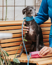 Neonblå Hundkoppel