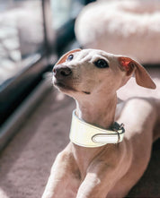 Reflex Silver Hundhalsband Bred