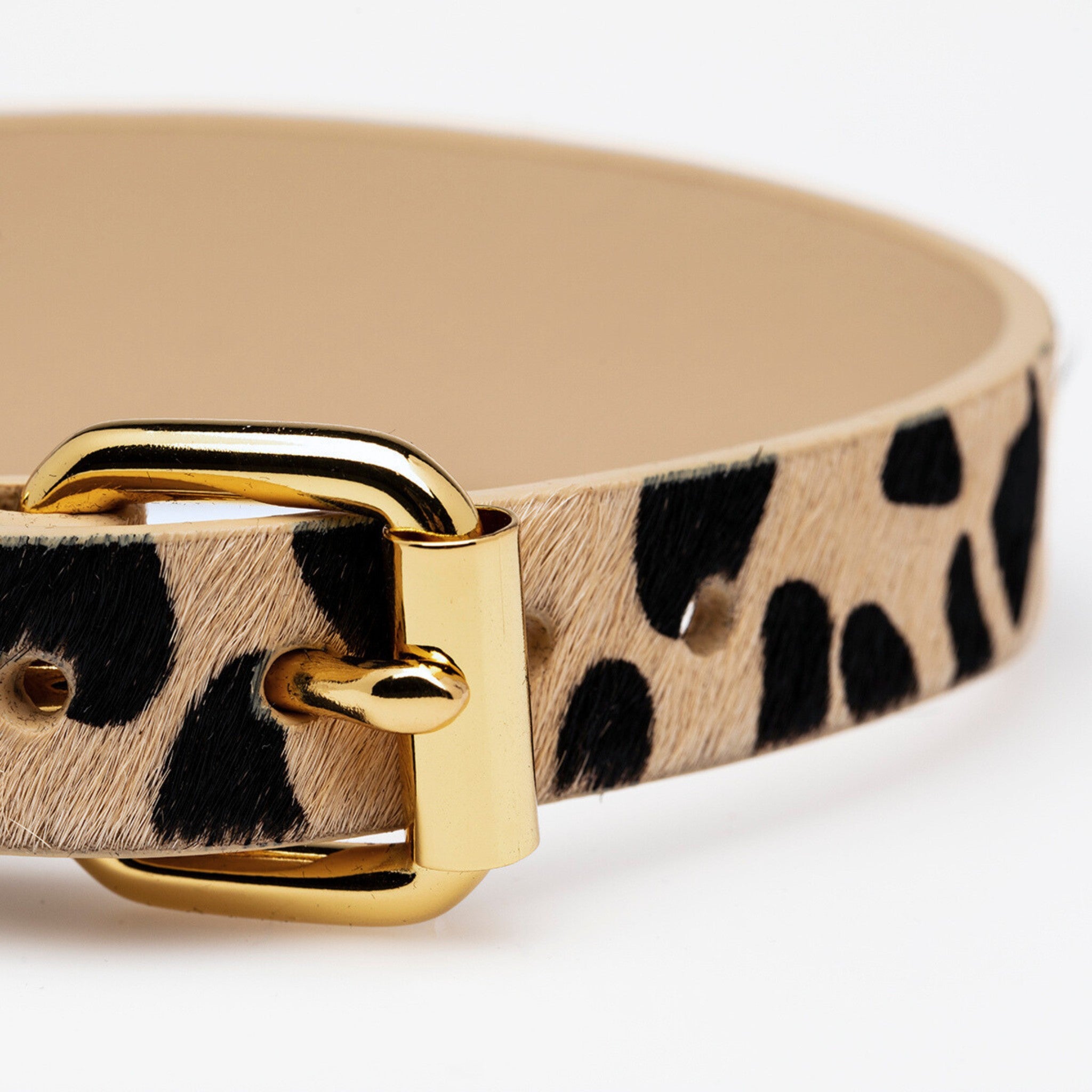 Leopardmönstrat Hundhalsband Bred