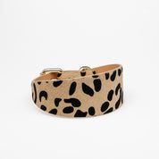 Leopardmönstrat Hundhalsband Bred