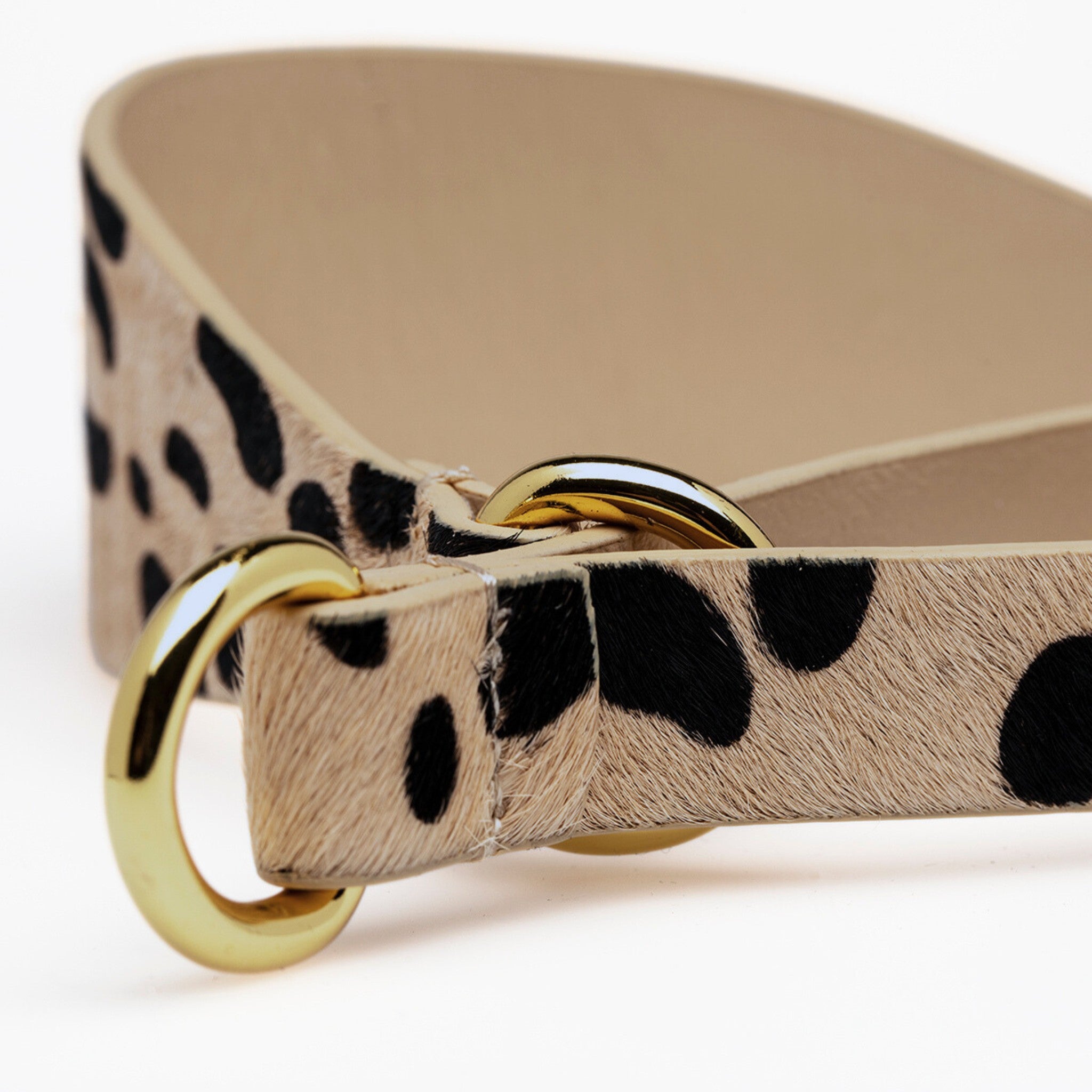 Leopardmönstrat Hundhalsband Halvstryp Bred