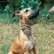 Leopardmönstrat Hundhalsband Halvstryp Bred