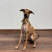 Leopardmönstrat Hundhalsband Bred