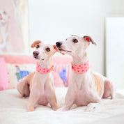 Love Hundhalsband Bred