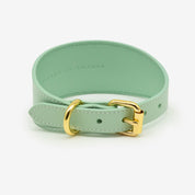 Mint Hundhalsband Bred