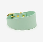 Mint Hundhalsband Bred